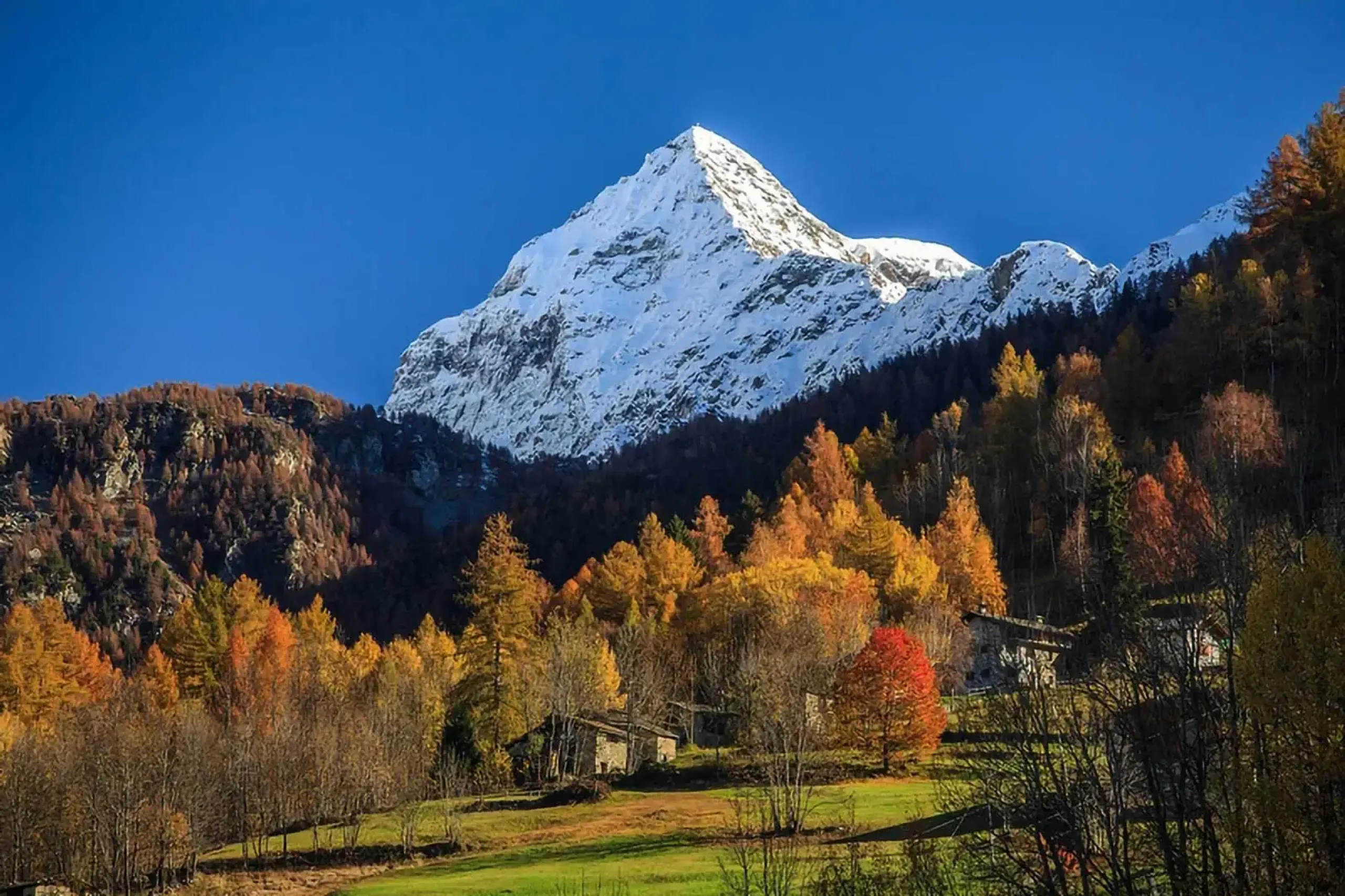 baite in autunno in valmalenco
