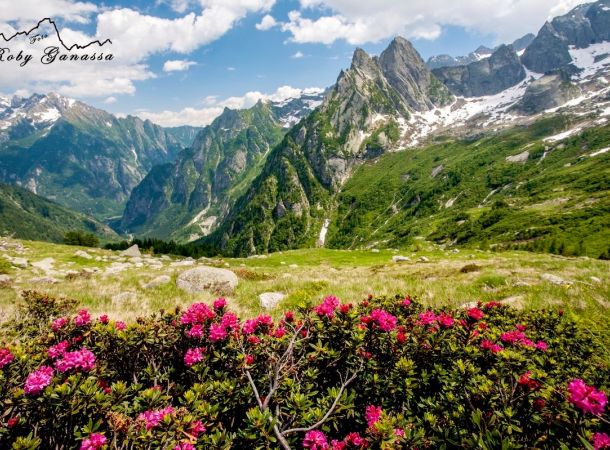 Val Masino prati in fiore