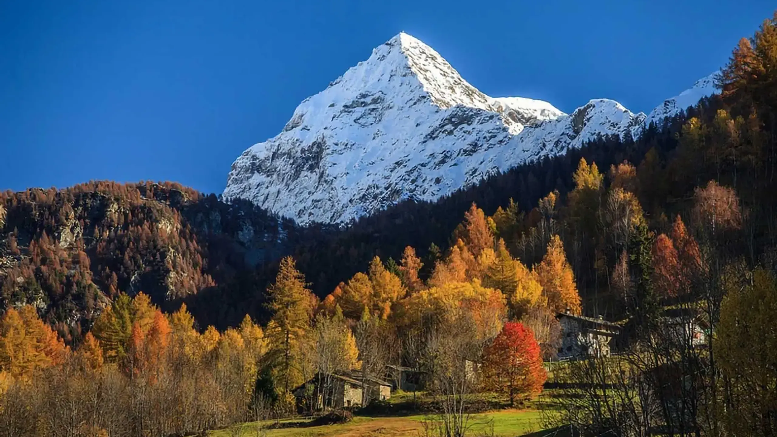 baite in autunno in valmalenco